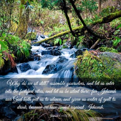 Picture 03 - Jeremiah 8:14 ASV - Why do we sit still? assemble yourselves, and let - Bible Verse Picture