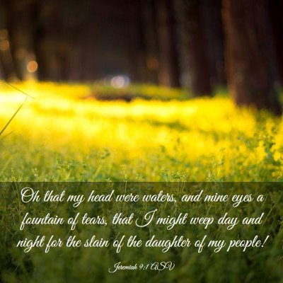 Picture 03 - Jeremiah 9:1 ASV - Oh that my head were waters, and mine eyes a - Bible Verse Picture