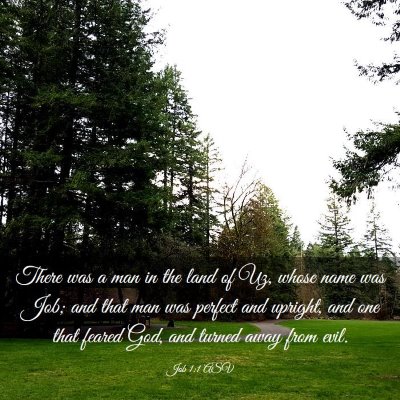 Picture 03 - Job 1:1 ASV - There was a man in the land of Uz, whose name was - Bible Verse Picture