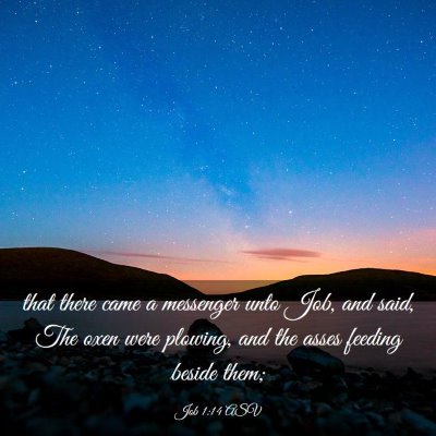 Picture 03 - Job 1:14 ASV - that there came a messenger unto Job, and said, - Bible Verse Picture