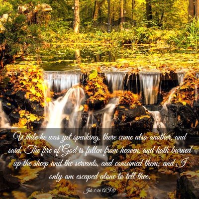 Picture 03 - Job 1:16 ASV - While he was yet speaking, there came also - Bible Verse Picture