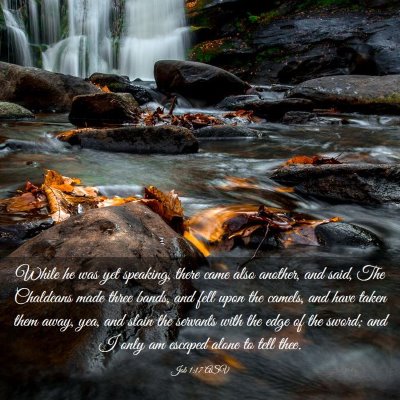 Picture 03 - Job 1:17 ASV - While he was yet speaking, there came also - Bible Verse Picture