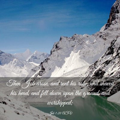 Picture 03 - Job 1:20 ASV - Then Job arose, and rent his robe, and shaved his - Bible Verse Picture