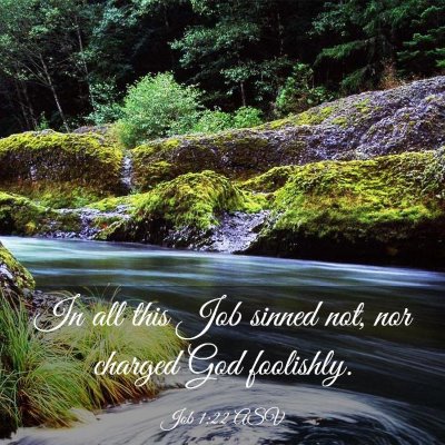 Picture 03 - Job 1:22 ASV - In all this Job sinned not, nor charged God - Bible Verse Picture