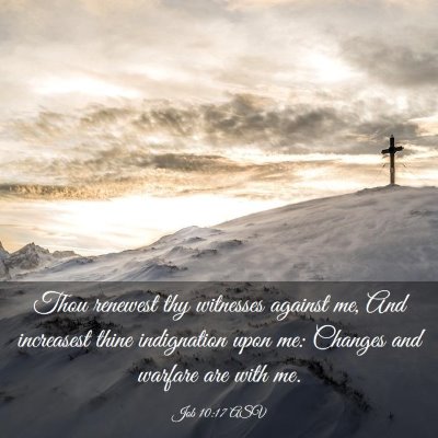 Picture 03 - Job 10:17 ASV - Thou renewest thy witnesses against me, And - Bible Verse Picture