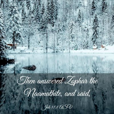 Picture 03 - Job 11:1 ASV - Then answered Zophar the Naamathite, and - Bible Verse Picture