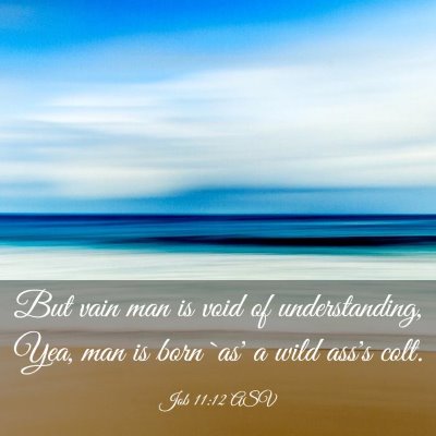 Picture 03 - Job 11:12 ASV - But vain man is void of understanding, Yea, man - Bible Verse Picture