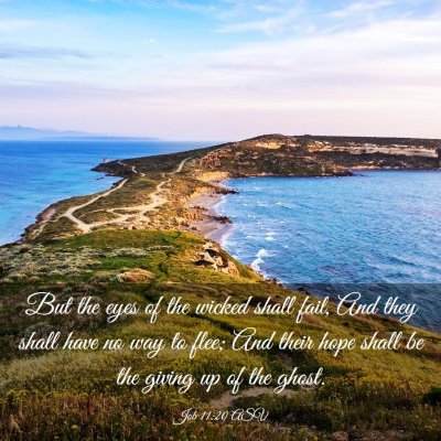 Picture 03 - Job 11:20 ASV - But the eyes of the wicked shall fail, And they - Bible Verse Picture