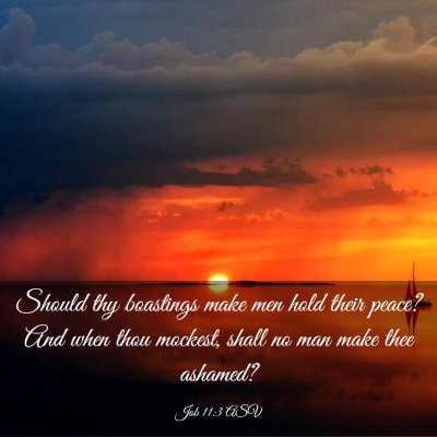 Picture 03 - Job 11:3 ASV - Should thy boastings make men hold their peace? - Bible Verse Picture