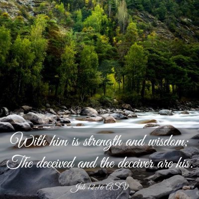 Picture 03 - Job 12:16 ASV - With him is strength and wisdom; The deceived and - Bible Verse Picture