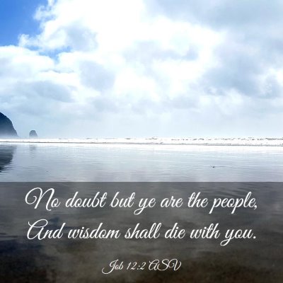 Picture 03 - Job 12:2 ASV - No doubt but ye are the people, And wisdom shall - Bible Verse Picture
