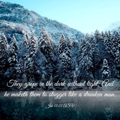 Picture 03 - Job 12:25 ASV - They grope in the dark without light; And he - Bible Verse Picture