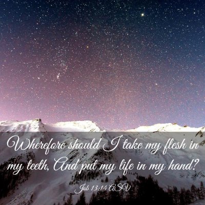 Picture 03 - Job 13:14 ASV - Wherefore should I take my flesh in my teeth, And - Bible Verse Picture