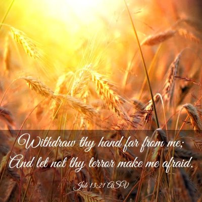 Picture 03 - Job 13:21 ASV - Withdraw thy hand far from me; And let not thy - Bible Verse Picture