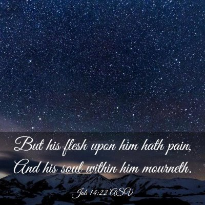 Picture 03 - Job 14:22 ASV - But his flesh upon him hath pain, And his soul - Bible Verse Picture