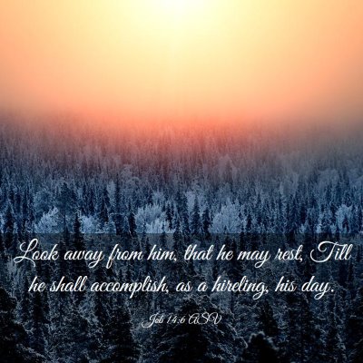 Picture 03 - Job 14:6 ASV - Look away from him, that he may rest, Till he - Bible Verse Picture