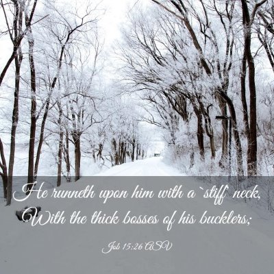 Picture 03 - Job 15:26 ASV - He runneth upon him with a `stiff' neck, With the - Bible Verse Picture