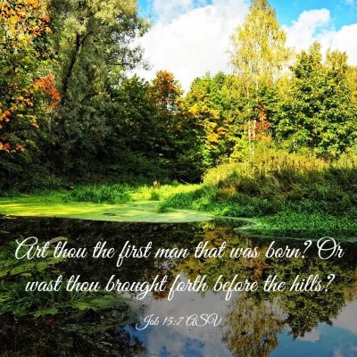 Picture 03 - Job 15:7 ASV - Art thou the first man that was born? Or wast - Bible Verse Picture