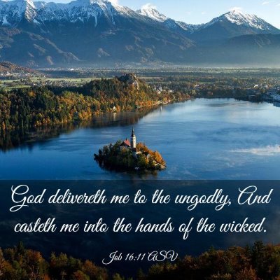 Picture 03 - Job 16:11 ASV - God delivereth me to the ungodly, And casteth me - Bible Verse Picture