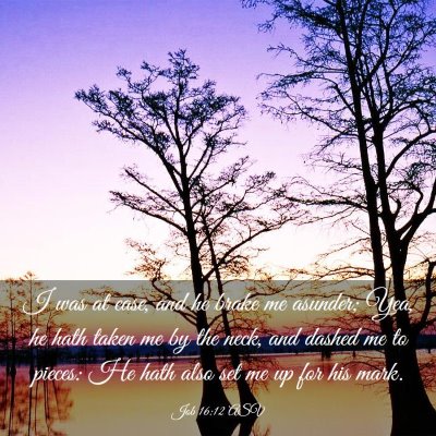Picture 03 - Job 16:12 ASV - I was at ease, and he brake me asunder; Yea, he - Bible Verse Picture