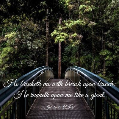Picture 03 - Job 16:14 ASV - He breaketh me with breach upon breach; He - Bible Verse Picture