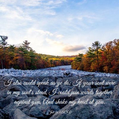 Picture 03 - Job 16:4 ASV - I also could speak as ye do; If your soul were in - Bible Verse Picture