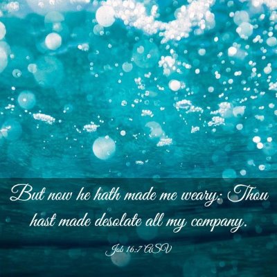 Picture 03 - Job 16:7 ASV - But now he hath made me weary: Thou hast made - Bible Verse Picture