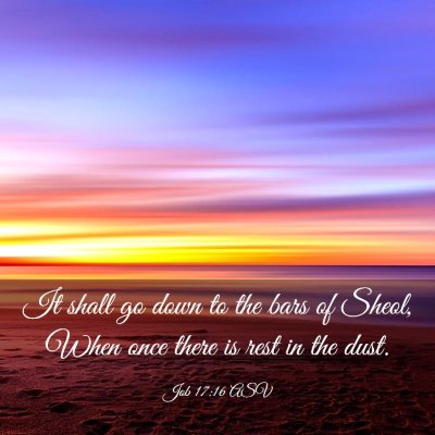 Picture 03 - Job 17:16 ASV - It shall go down to the bars of Sheol, When once - Bible Verse Picture