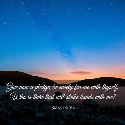 Picture 03 - Job 17:3 ASV - Give now a pledge, be surety for me with thyself; - Bible Verse Picture