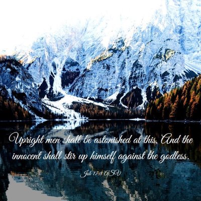 Picture 03 - Job 17:8 ASV - Upright men shall be astonished at this, And the - Bible Verse Picture