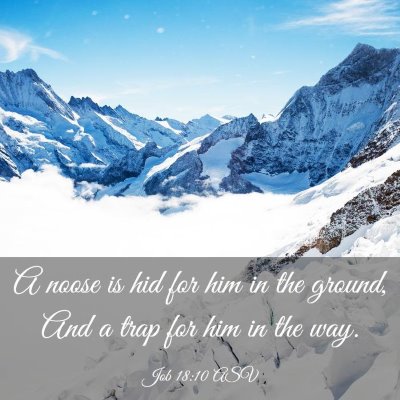 Picture 03 - Job 18:10 ASV - A noose is hid for him in the ground, And a trap - Bible Verse Picture