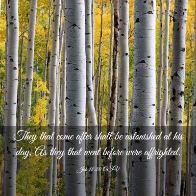 Picture 03 - Job 18:20 ASV - They that come after shall be astonished at his - Bible Verse Picture