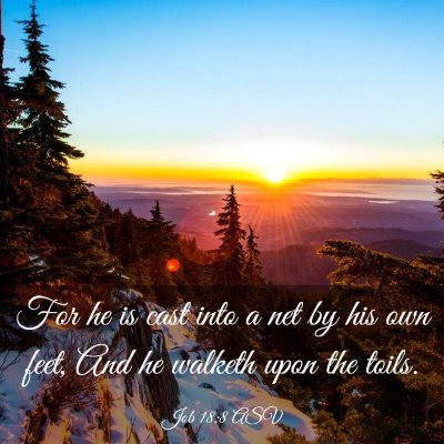 Picture 03 - Job 18:8 ASV - For he is cast into a net by his own feet, And he - Bible Verse Picture