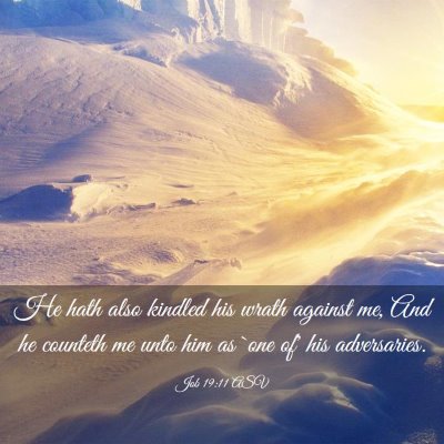 Picture 03 - Job 19:11 ASV - He hath also kindled his wrath against me, And he - Bible Verse Picture