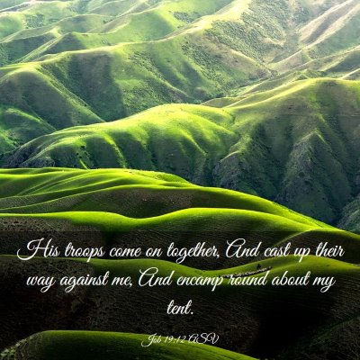 Picture 03 - Job 19:12 ASV - His troops come on together, And cast up their - Bible Verse Picture