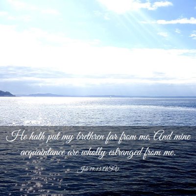 Picture 03 - Job 19:13 ASV - He hath put my brethren far from me, And mine - Bible Verse Picture
