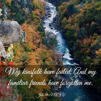 Picture 03 - Job 19:14 ASV - My kinsfolk have failed, And my familiar friends - Bible Verse Picture