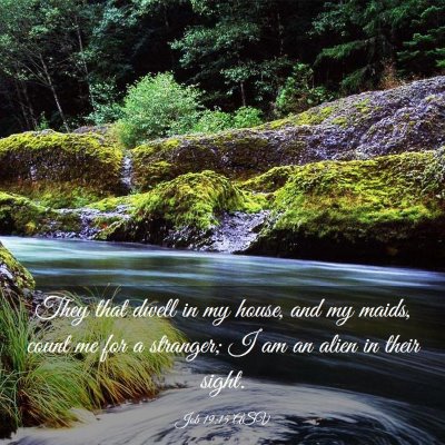 Picture 03 - Job 19:15 ASV - They that dwell in my house, and my maids, count - Bible Verse Picture