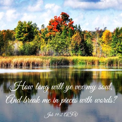 Picture 03 - Job 19:2 ASV - How long will ye vex my soul, And break me in - Bible Verse Picture