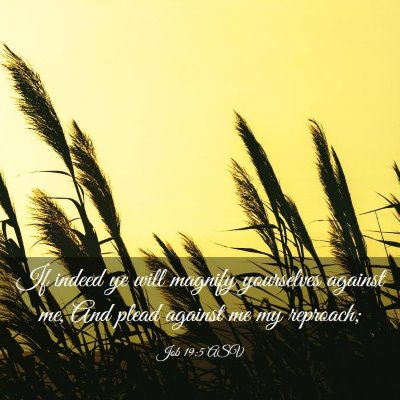 Picture 03 - Job 19:5 ASV - If indeed ye will magnify yourselves against me, - Bible Verse Picture