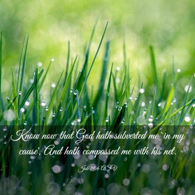 Picture 03 - Job 19:6 ASV - Know now that God hath subverted me `in my - Bible Verse Picture