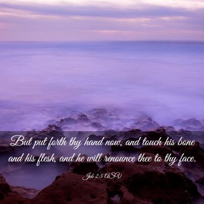 Picture 03 - Job 2:5 ASV - But put forth thy hand now, and touch his bone - Bible Verse Picture