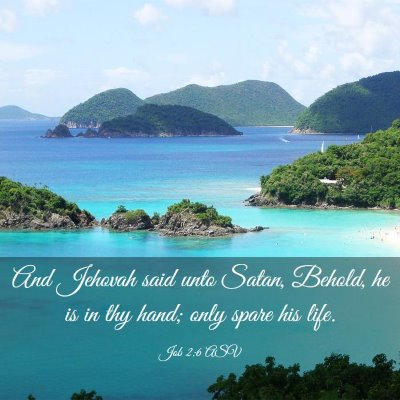 Picture 03 - Job 2:6 ASV - And Jehovah said unto Satan, Behold, he is in thy - Bible Verse Picture