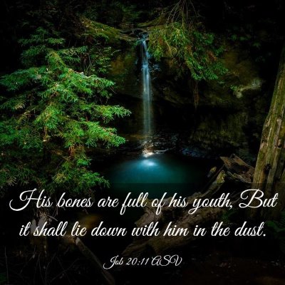 Picture 03 - Job 20:11 ASV - His bones are full of his youth, But it shall lie - Bible Verse Picture