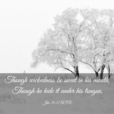 Picture 03 - Job 20:12 ASV - Though wickedness be sweet in his mouth, Though - Bible Verse Picture