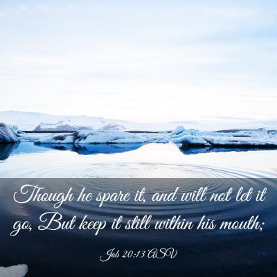 Picture 03 - Job 20:13 ASV - Though he spare it, and will not let it go, But - Bible Verse Picture