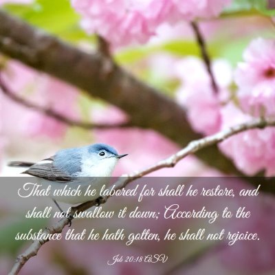 Picture 03 - Job 20:18 ASV - That which he labored for shall he restore, and - Bible Verse Picture