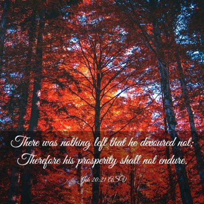 Picture 03 - Job 20:21 ASV - There was nothing left that he devoured not; - Bible Verse Picture