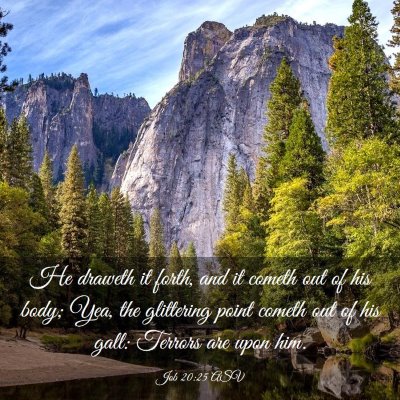 Picture 03 - Job 20:25 ASV - He draweth it forth, and it cometh out of his - Bible Verse Picture