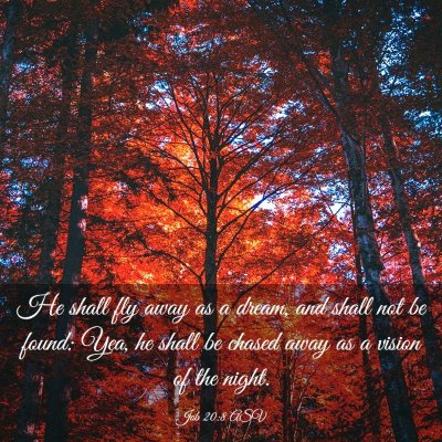 Picture 03 - Job 20:8 ASV - He shall fly away as a dream, and shall not be - Bible Verse Picture